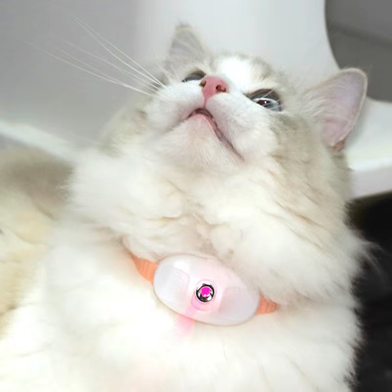 LED Laser Cat Teasing Toy USB Rechargeable Cat Toy Adjustable Magic Cat Collar Kitten Playing Toy Cat Accessories