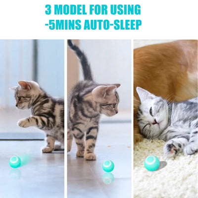 SMART INTERACTIVE PET BALL TOY