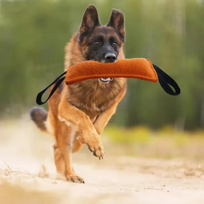 Durable Dog Bite Stick Creative Dog Tug Toy Non-Slip Wear-Resistant Pet Dog Training Flax Sleeve Toy