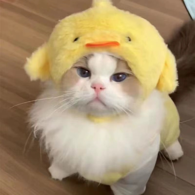 Cute Refined Cat Hat 