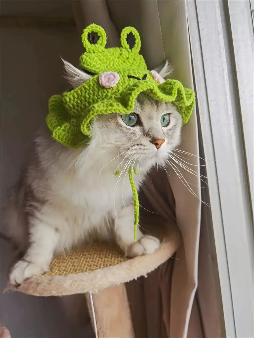 Autumn Winter Cat Hat 