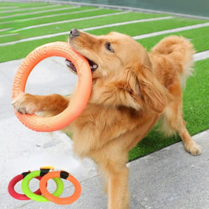 Flying Disk Training Ring 