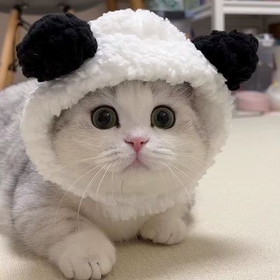 Cute Refined Cat Hat 