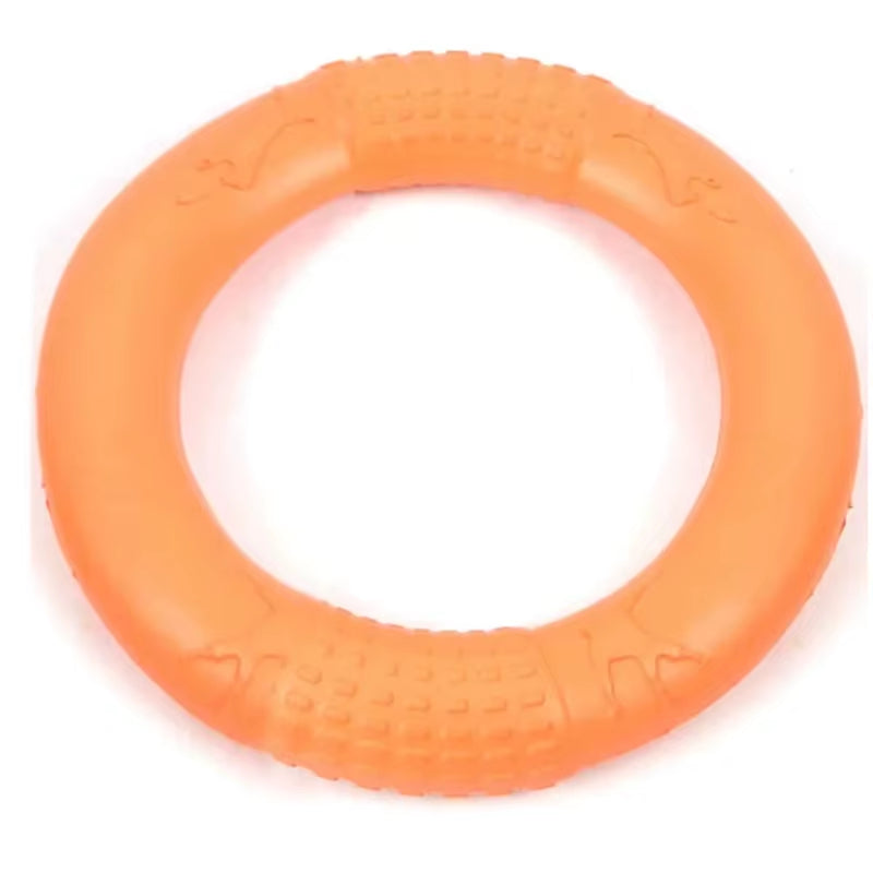 Flying Disk Training Ring 