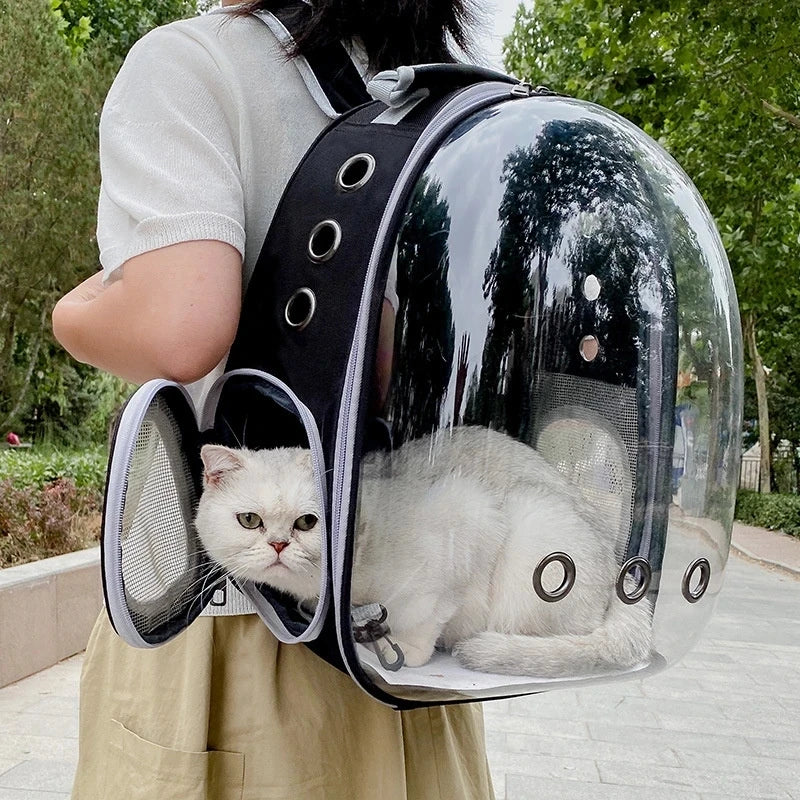 Transparent Carrying Bags 