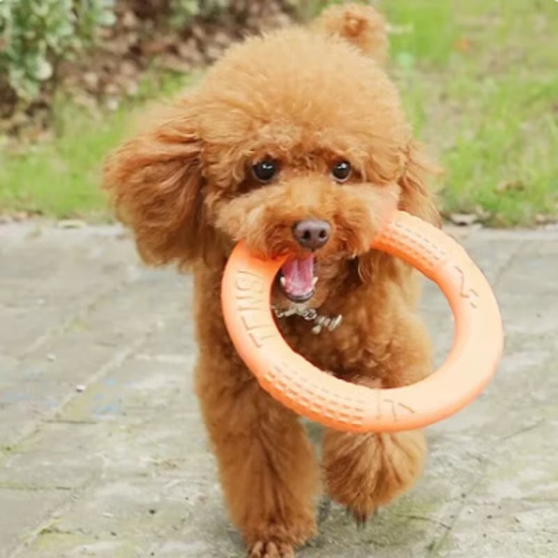 Flying Disk Training Ring 