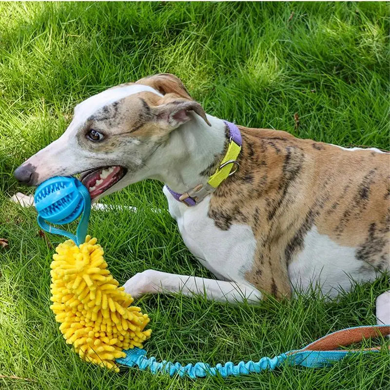 DURABLE ROPE TOY