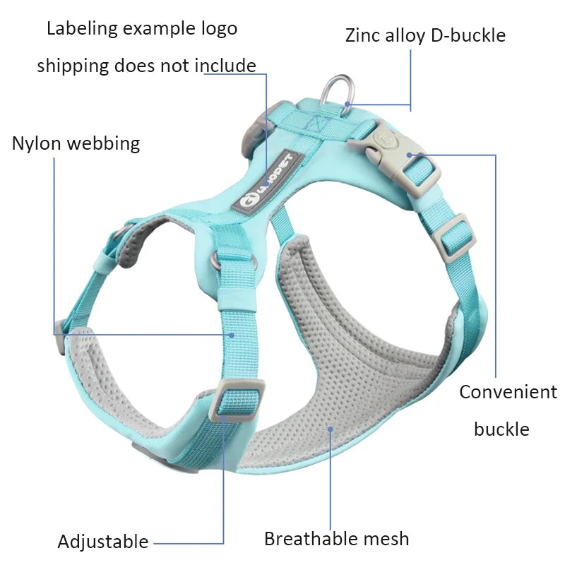 DOG HARNESS & LEASH