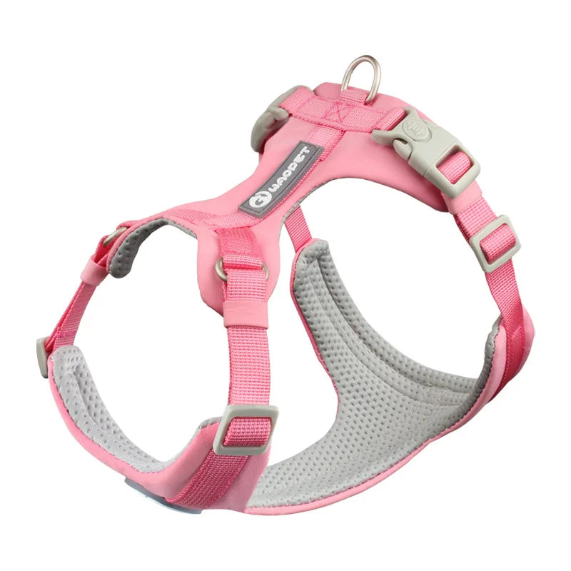 DOG HARNESS & LEASH