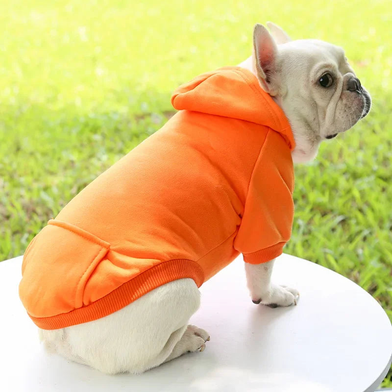 HOODIE DOG SWEATER