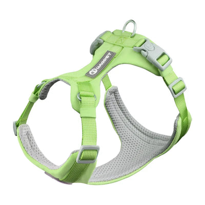 DOG HARNESS & LEASH