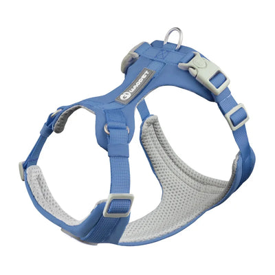 DOG HARNESS & LEASH