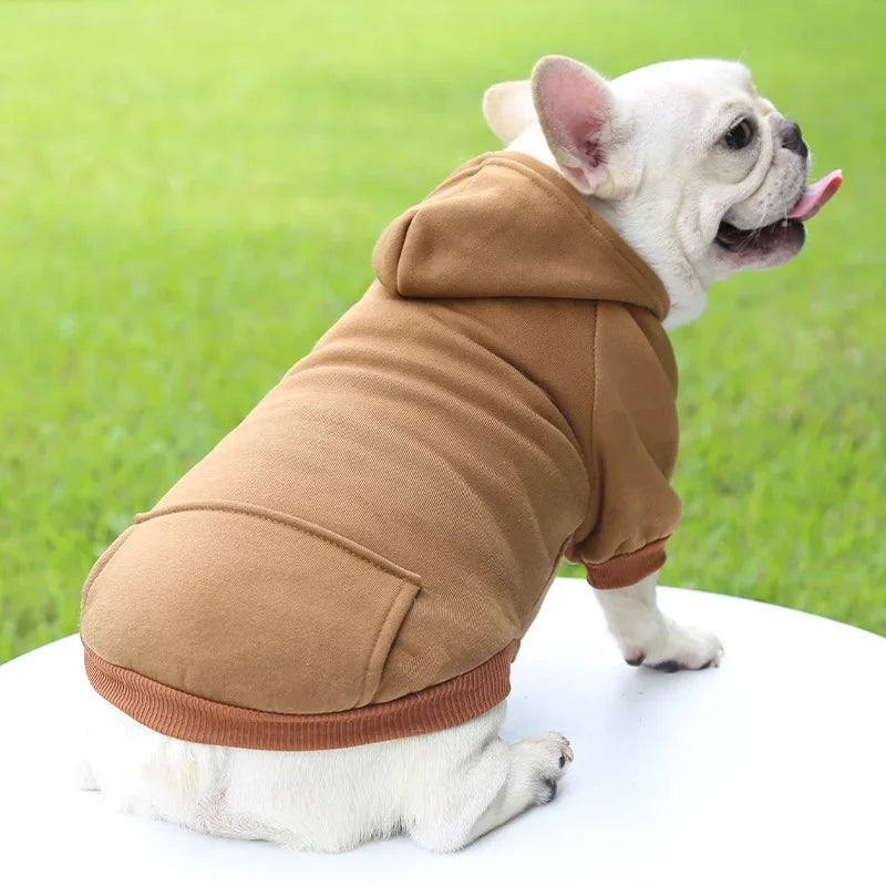 HOODIE DOG SWEATER