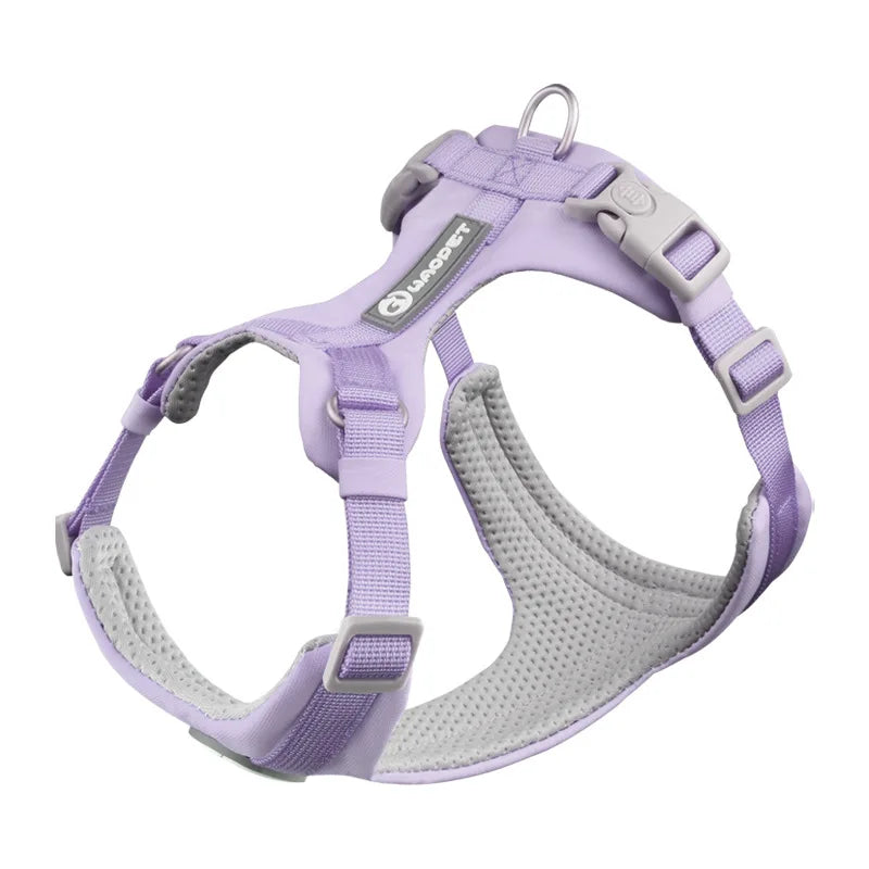 DOG HARNESS & LEASH