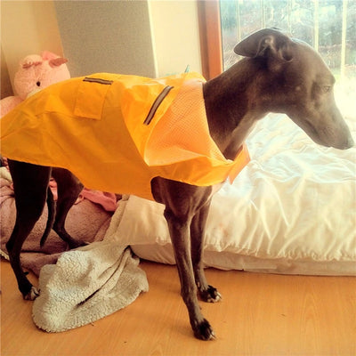 WATERPROOF DOG RAINCOAT