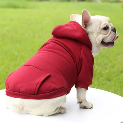 HOODIE DOG SWEATER