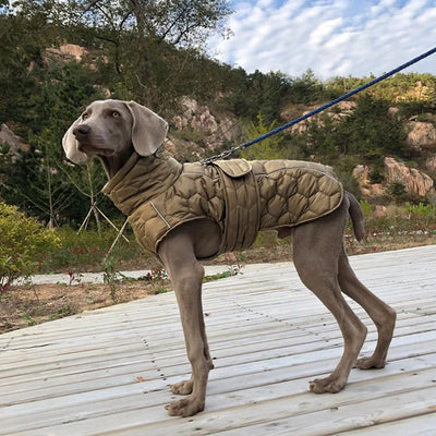 WARM & WATER-REPELLENT DOG JACKET