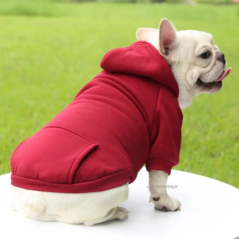 HOODIE DOG SWEATER