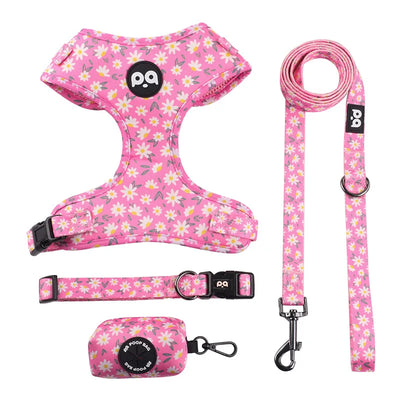 4 IN 1 DOG HARNESS COLLAR LEASH SET