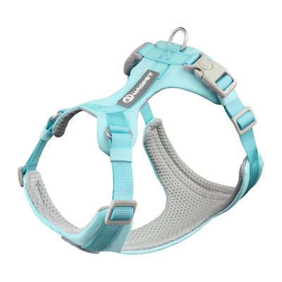 DOG HARNESS & LEASH