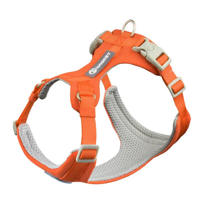 DOG HARNESS & LEASH