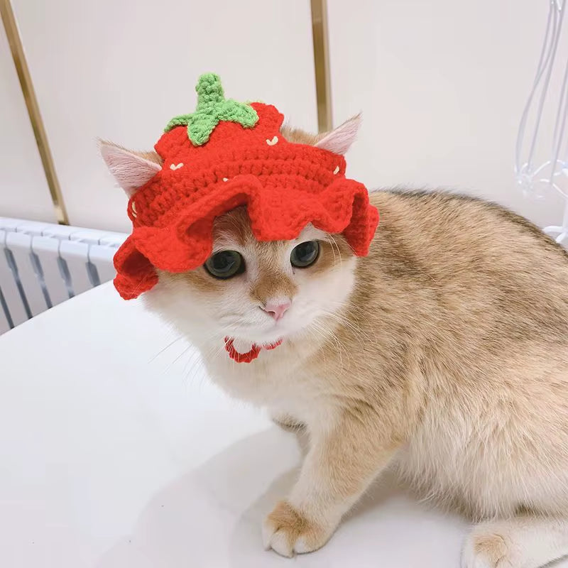 Autumn Winter Cat Hat 