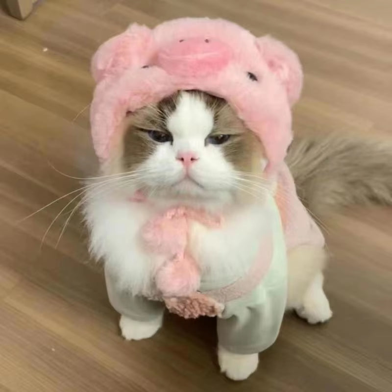 Cute Refined Cat Hat 