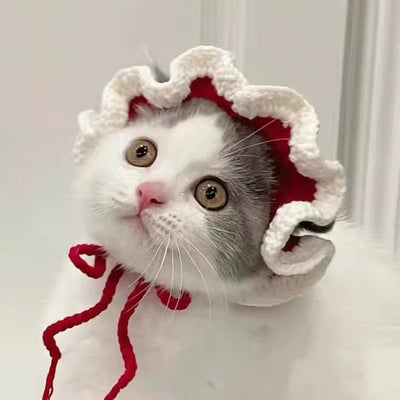 Autumn Winter Cat Hat 