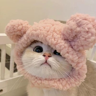 Cute Refined Cat Hat 