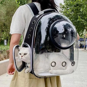 Transparent Carrying Bags 