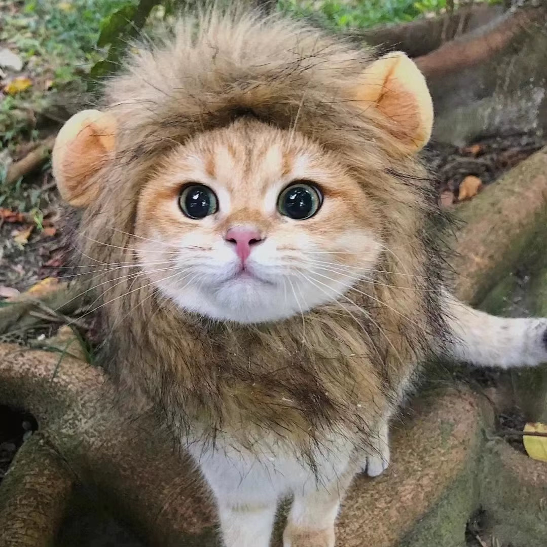 Cute Lion Mane Cat Wig Hat Funny Pets Clothes Cap Fancy Party Dogs Cosplay Costume Kitten Hat with Ears Accessories Cat Costume