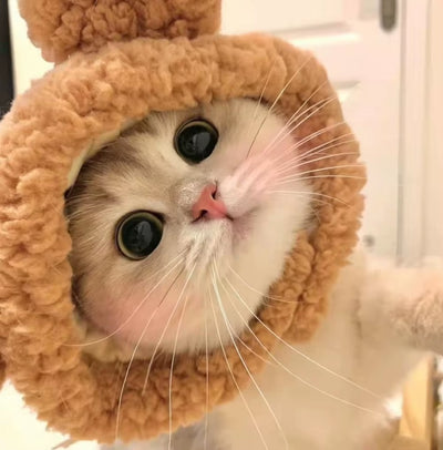 Cute Refined Cat Hat 