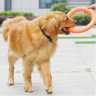 Flying Disk Training Ring 