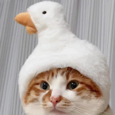 Cute Refined Cat Hat 