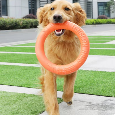 Flying Disk Training Ring 